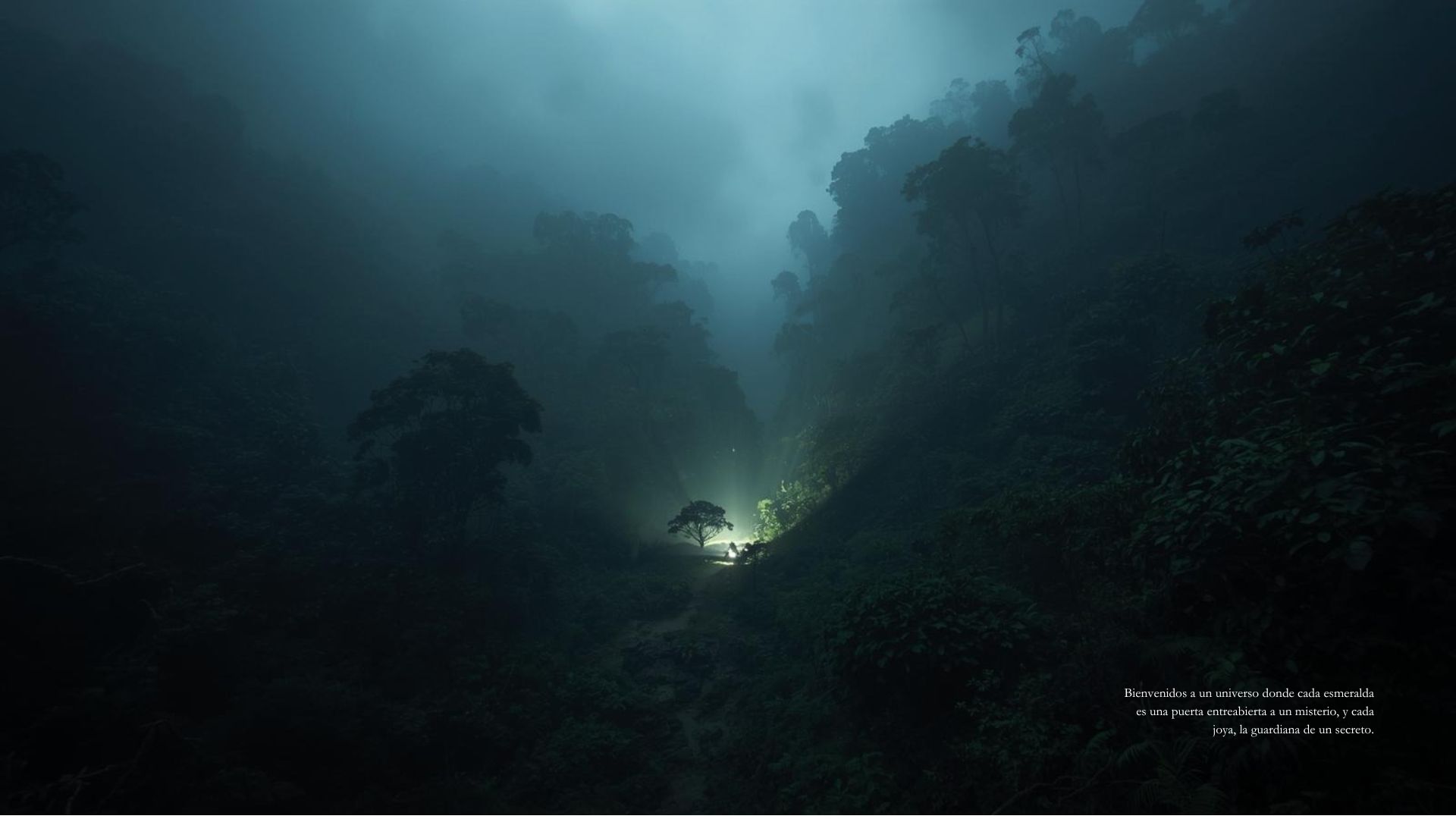 Forest clearing in mist: a half-open door onto a mystery.