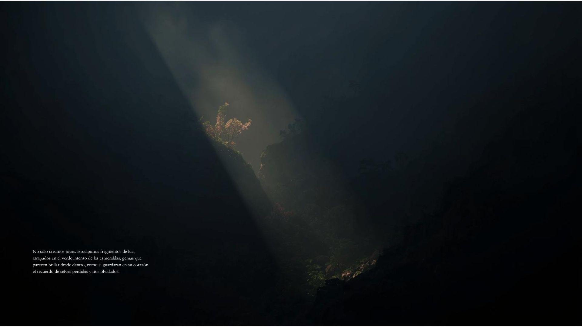 A single shaft of light falling onto a flowering branch in the gorge.