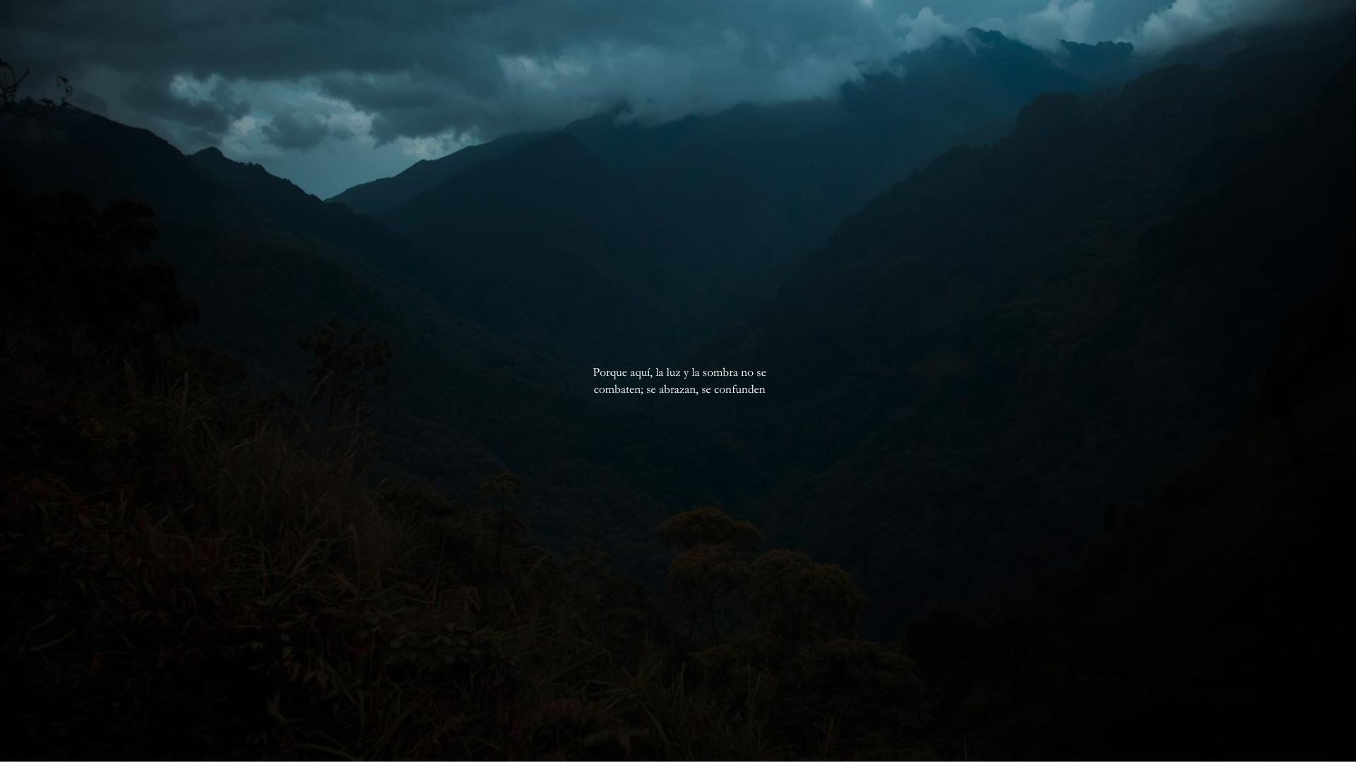 A cloud-wrapped ridge at dusk above the cordillera.
