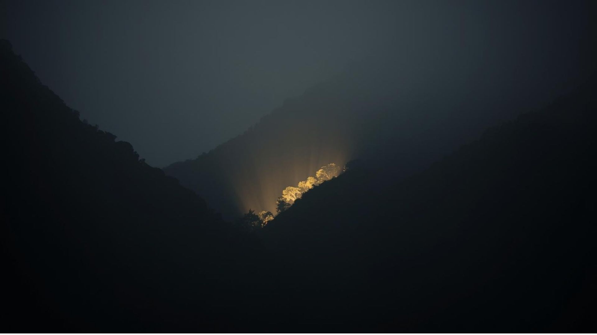 A warm saddle of trees lit between two dark ridges